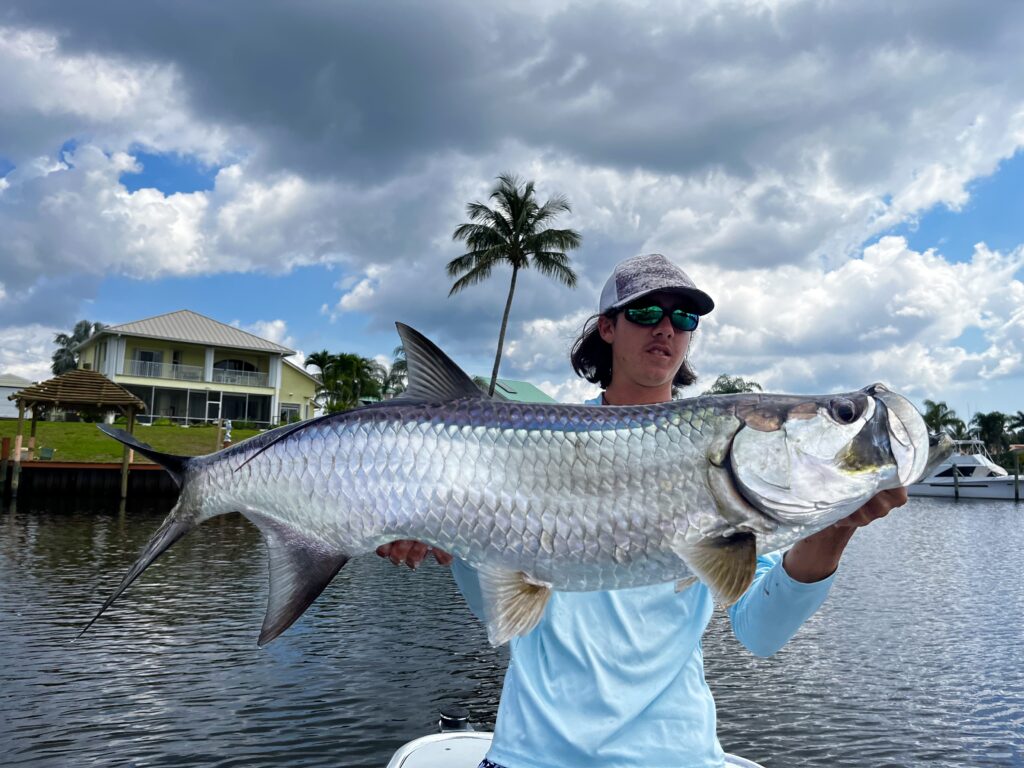 The Secret To Catching Tarpon On Butterflied Mullet