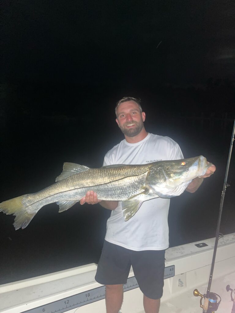 Catching BIG Snook On The 3' NLBN Paddle Tail & Live Bait Off The